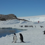 Dall’Antartide il futuro del clima   di Anna Rita Principi